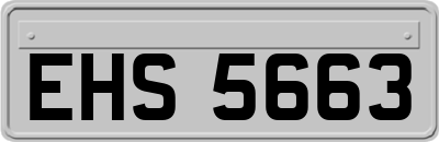 EHS5663