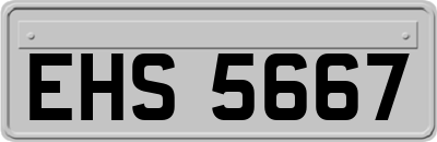 EHS5667