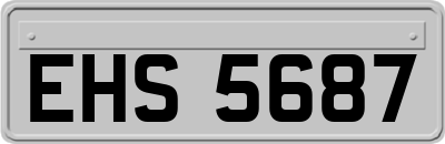 EHS5687