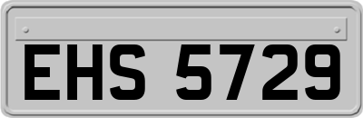 EHS5729