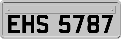 EHS5787