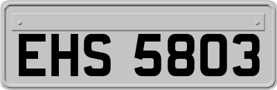 EHS5803