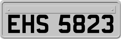 EHS5823