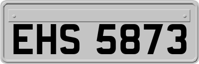 EHS5873