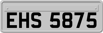 EHS5875