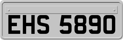 EHS5890