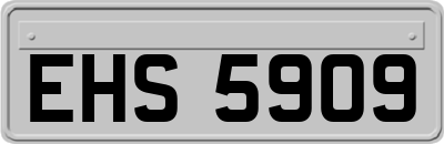 EHS5909