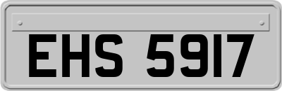EHS5917
