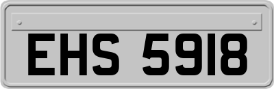 EHS5918