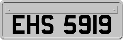 EHS5919