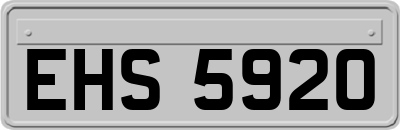 EHS5920