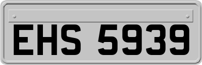 EHS5939