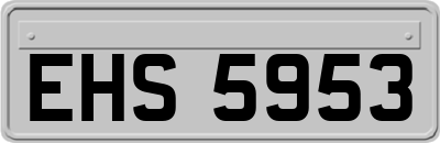 EHS5953