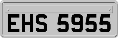 EHS5955