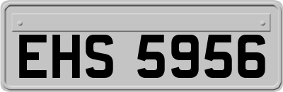 EHS5956