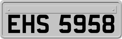 EHS5958