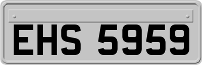 EHS5959