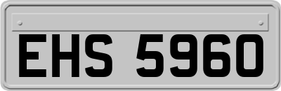 EHS5960