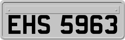 EHS5963