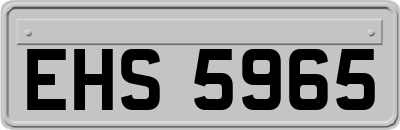 EHS5965