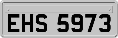 EHS5973