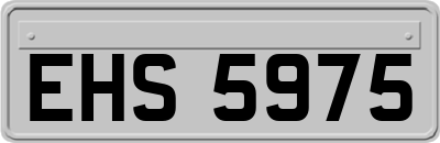 EHS5975