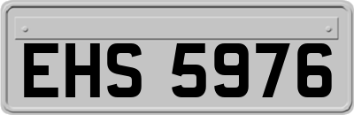 EHS5976