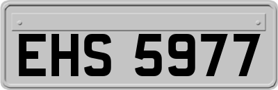 EHS5977