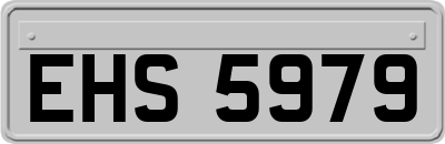 EHS5979