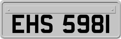 EHS5981