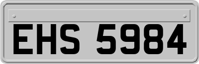EHS5984