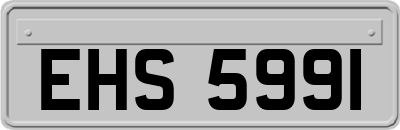 EHS5991