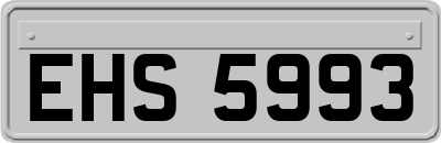 EHS5993