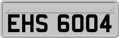 EHS6004