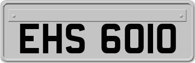 EHS6010