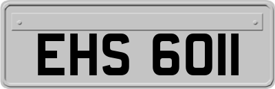 EHS6011