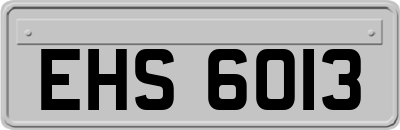 EHS6013