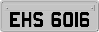 EHS6016