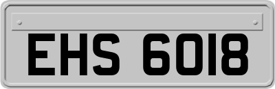 EHS6018