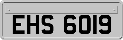 EHS6019