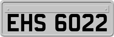 EHS6022
