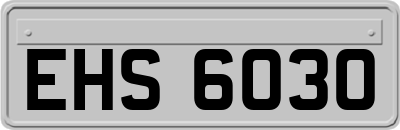 EHS6030