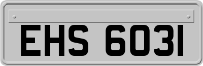 EHS6031