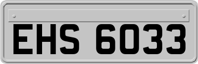 EHS6033