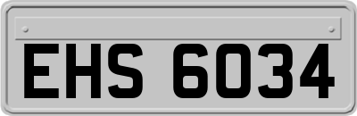 EHS6034