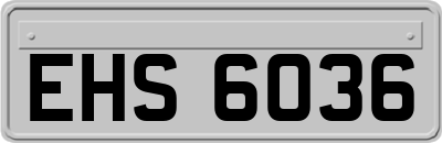 EHS6036