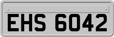 EHS6042