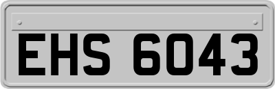 EHS6043