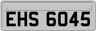EHS6045