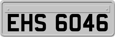 EHS6046